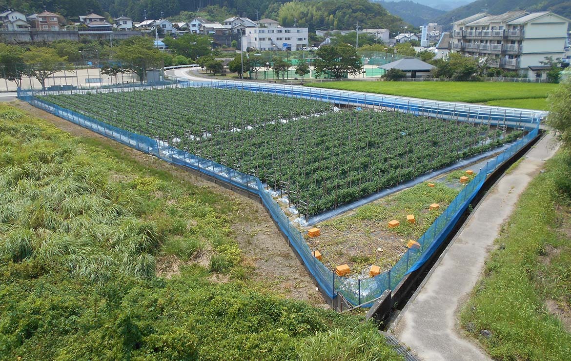 新築予定地　土地探し